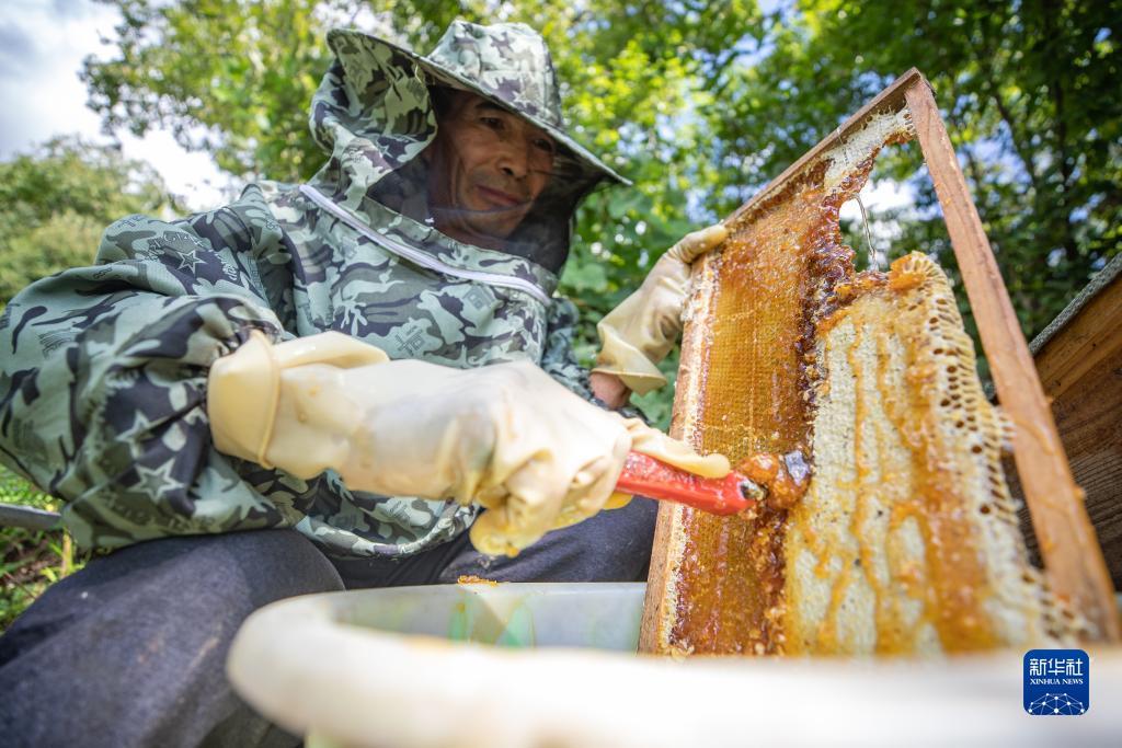 宝马游戏机